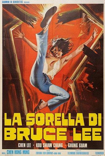 Chiu Chow Kung Fu (1974) poster