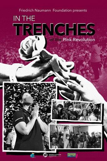 In The Trenches Of The Pink Revolution () poster