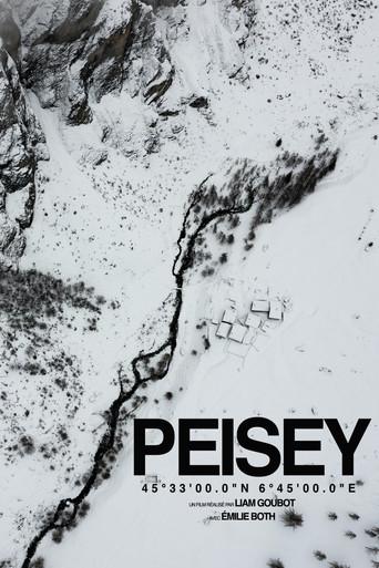 PEISEY (2024) poster
