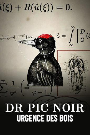 Dr Pic Noir, urgence des bois (2023) poster