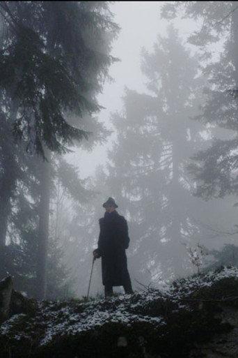 The Raven (2013) poster