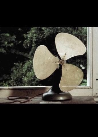 Fan (1978) poster