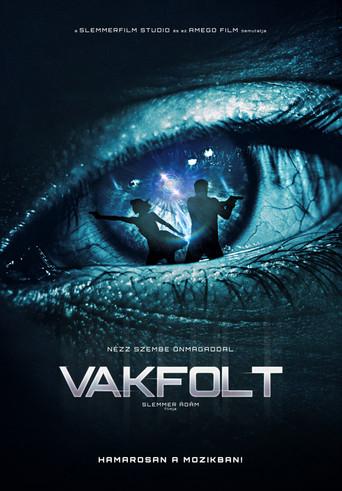 Blindspot (2017) poster