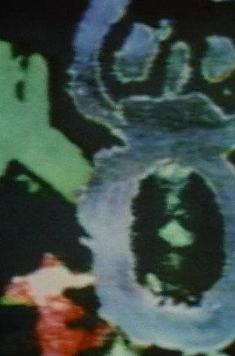 Mirage (1972) poster