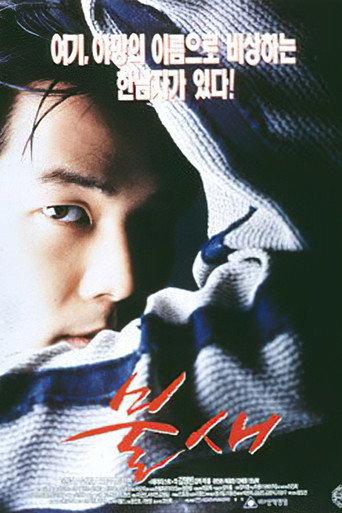 Firebird (1997) poster