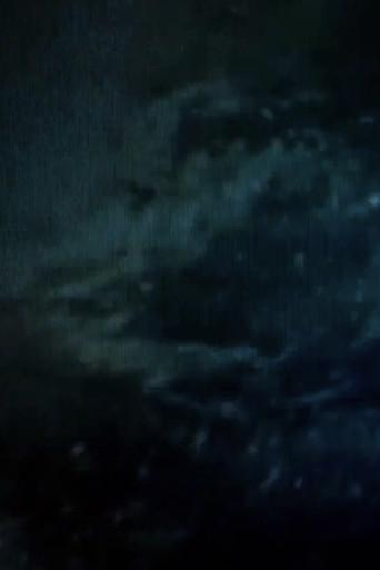 Development From The Water (1993) poster