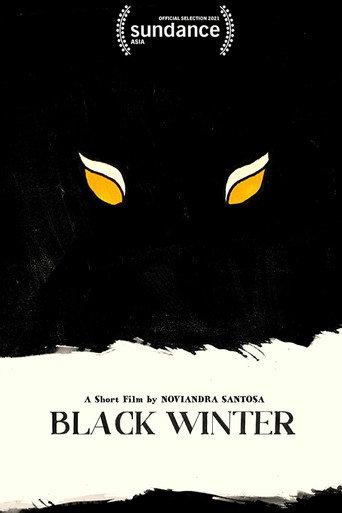 Black Winter () poster