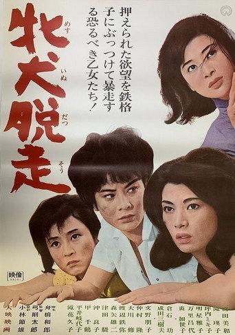 牝犬脱走 (1965) poster