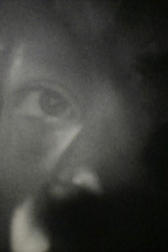 Within Mirrors (2008) poster