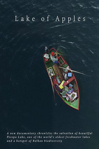 Lake of Apples (2017) poster