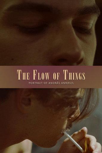 The Flow of Things (2025) poster