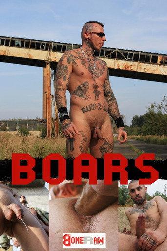 Boars (Bend over and rape) (2020) poster