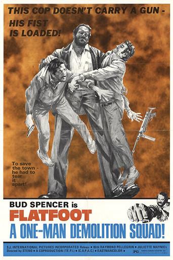 The Knock Out Cop (1973) poster