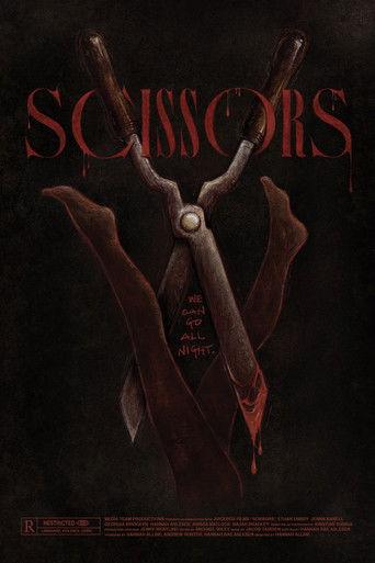 Scissors (2026) poster