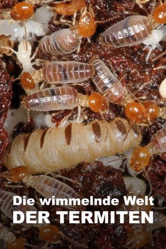 The World According to Termites (2018) poster