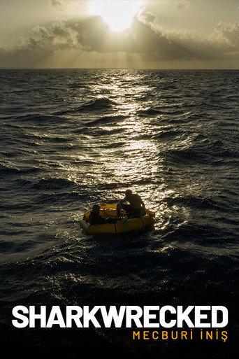 Sharkwrecked: Crash Landing () poster