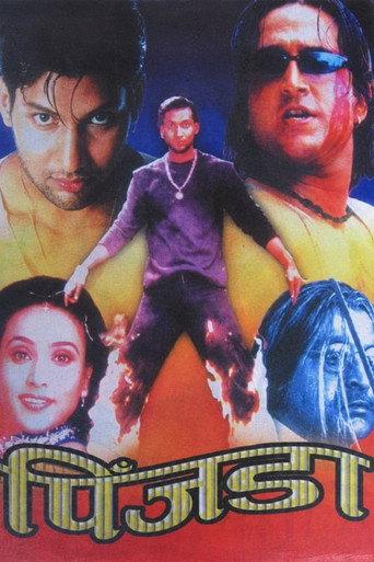Pinjada (2001) poster