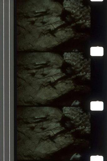 Whispers Delaying Grace (1973) poster