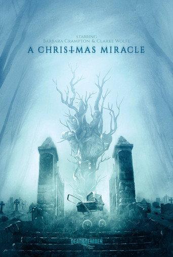 A Christmas Miracle (2019) poster