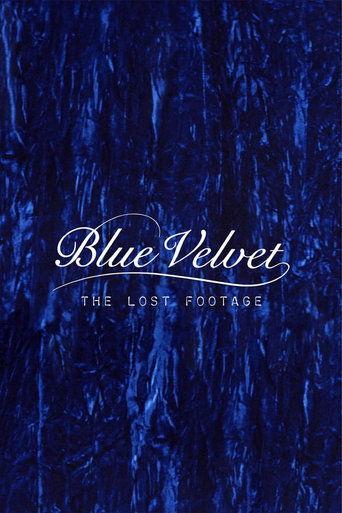 Blue Velvet: The Lost Footage (2011) poster