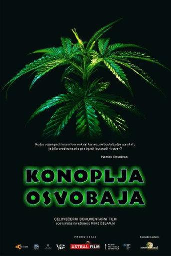 Cannabis Sets You Free (2022) poster
