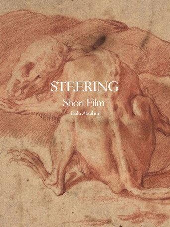 Steering (2024) poster