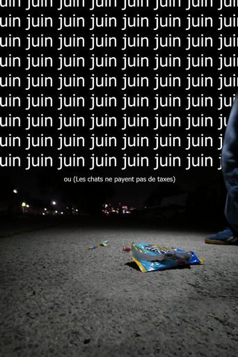 Juin ou (Les chats ne payent pas de taxes) (2025) poster