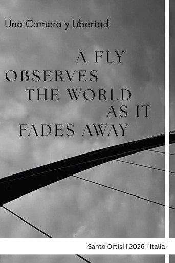 A fly observes the world as it fades away (2026) poster