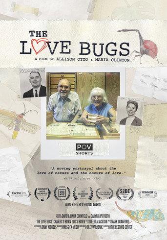 The Love Bugs (2019) poster