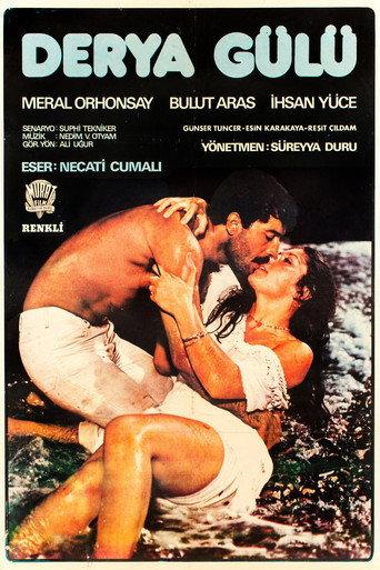 Derya Gülü (1979) poster