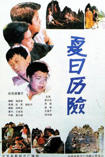 夏日历险 (1991) poster