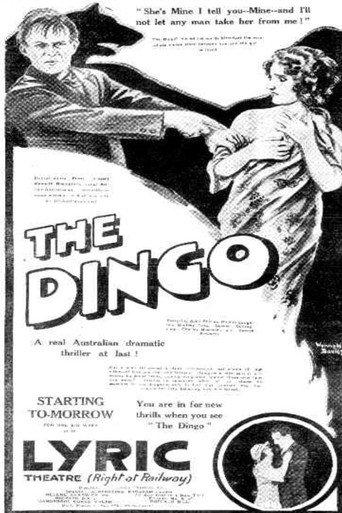 The Dingo (1923) poster
