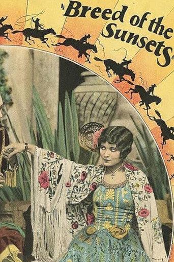 Breed of the Sunsets (1928) poster