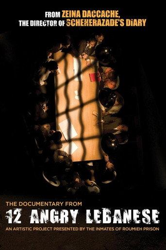12 Angry Lebanese (2009) poster