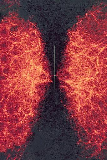 data-verse 1 (2019) poster