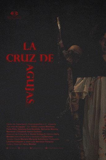 The Needle Cross (2017) poster