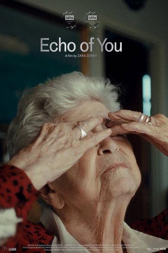 Echo of You (2023) poster