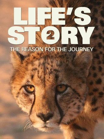 Life's Story 2: The Reason For The Journey () poster
