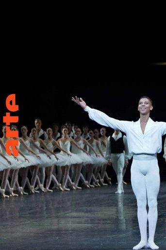 Young, Black and Gifted: Diversity at the Paris Opera (2024) poster