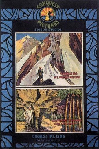 Climbing Mt. Washington (1917) poster
