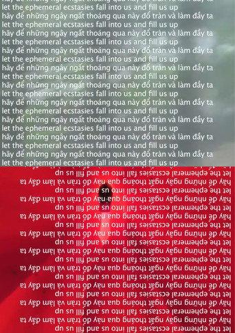 let the ephemeral ecstasies fall into us and fill us up (2014) poster