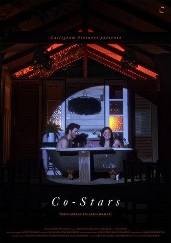 Co-Stars () poster