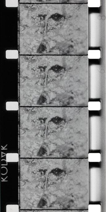 La Source de la Loire (1970) poster