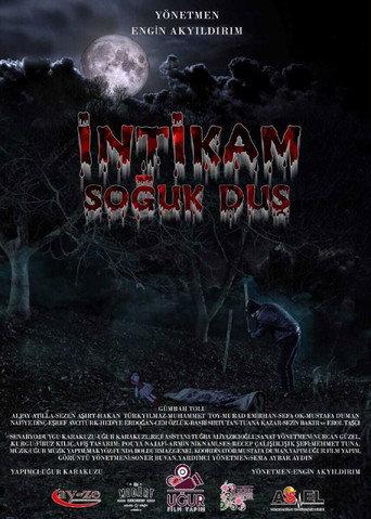 İntikam Soğuk Duş (2020) poster