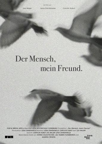 We Used to Be Friends. (2024) poster