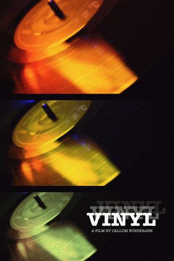 Vinyl (2024) poster