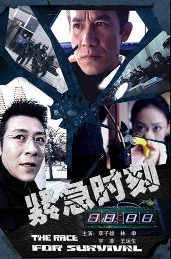 The Face for Survival (2008) poster