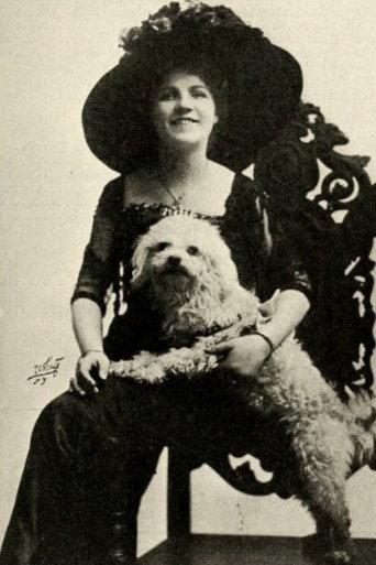 The Rose's Story (1911) poster