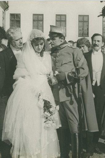Love’s Wanderings (1916) poster