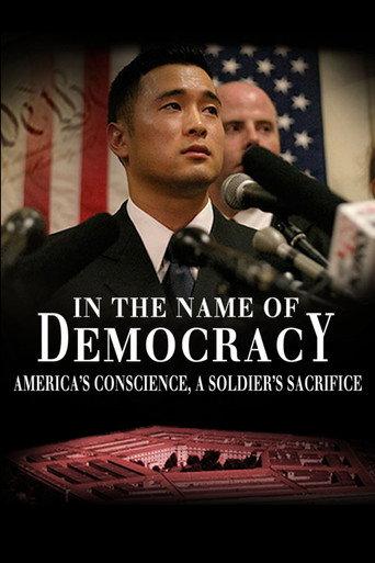 In the Name of Democracy (2009) poster